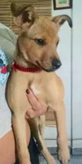 Luzia