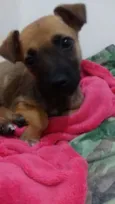 Fiona
