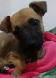 Fiona