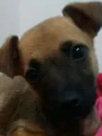Fiona