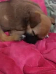 Fiona