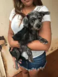 Irmãos macho e femea