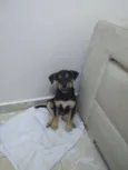 pequena