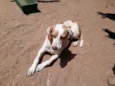 Marley