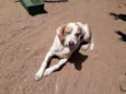 Marley