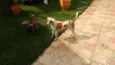 Marley