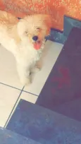 marley