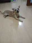 Nick