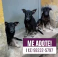 Tobi, Sam e Lua