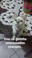 Liza