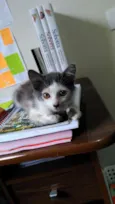 Blanca
