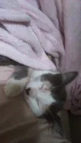 Blanca