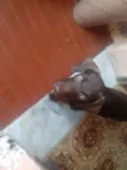 Lupita