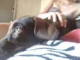 Lupita