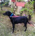 Tiquita