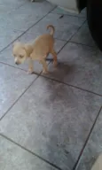 todos