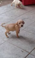 todos