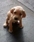 todos