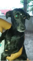 Pretinha