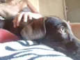 Lupita