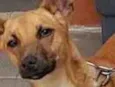 Sem nome