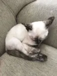 Mia