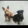 Heros 