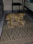 Não tem nome