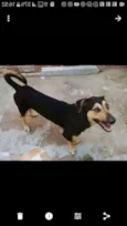 Nick