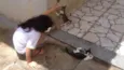 zelda e Pity