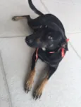 Princesa