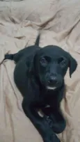 KOBY