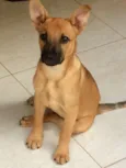 Indefinido