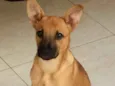 Indefinido