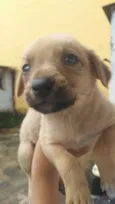Ainda não tem