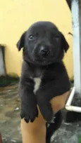 Ainda não tem