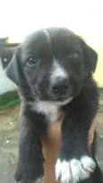 Ainda não tem