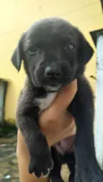 Ainda não tem