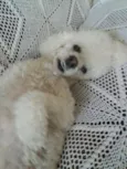 Julieta 