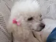 Julieta