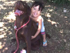 Cachorro raça Labradora idade 4 anos nome Morena
