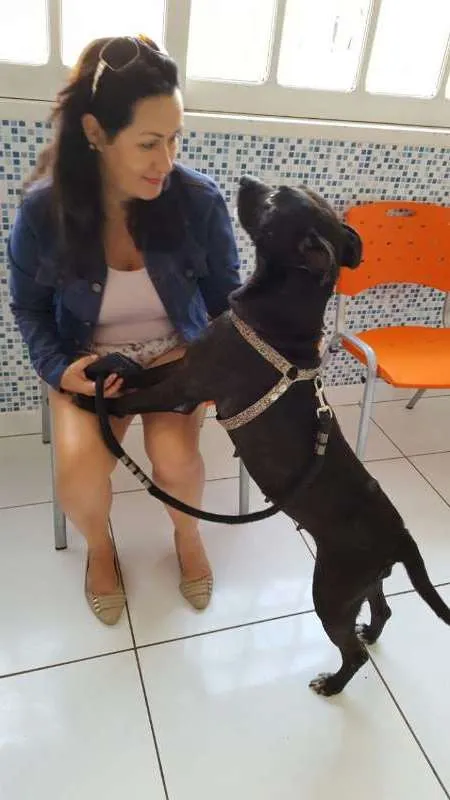 Cachorro ra a SRD idade 1 ano nome Ágata