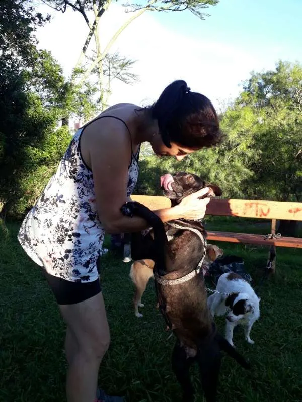 Cachorro ra a SRD idade 1 ano nome Ágata