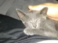 Chumbinho