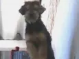 Susan