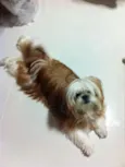 Molly