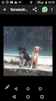 Sacha,Nega e Patríci
