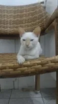 Olhinho