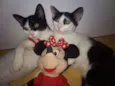 Paula e Paloma