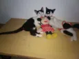 Paula e Paloma